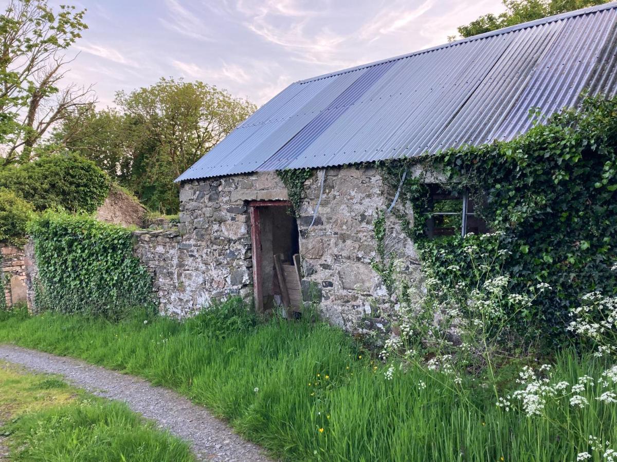 Hillhead Country Retreat Villa Castlewellan Eksteriør bilde