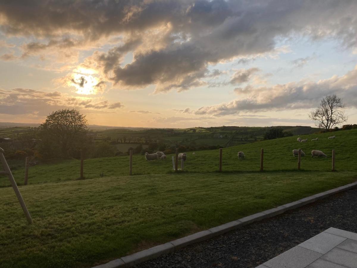 Hillhead Country Retreat Villa Castlewellan Eksteriør bilde