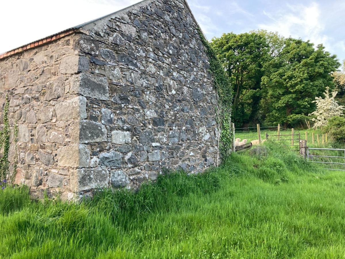 Hillhead Country Retreat Villa Castlewellan Eksteriør bilde